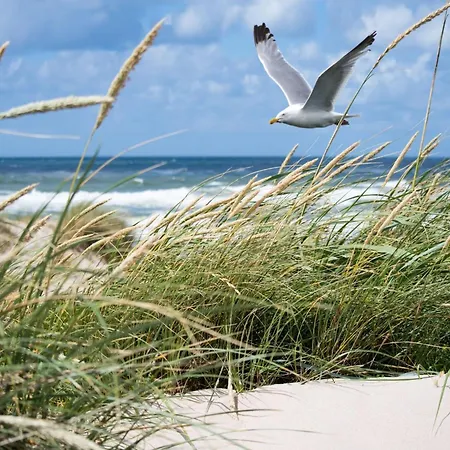 Appartement With Sea View